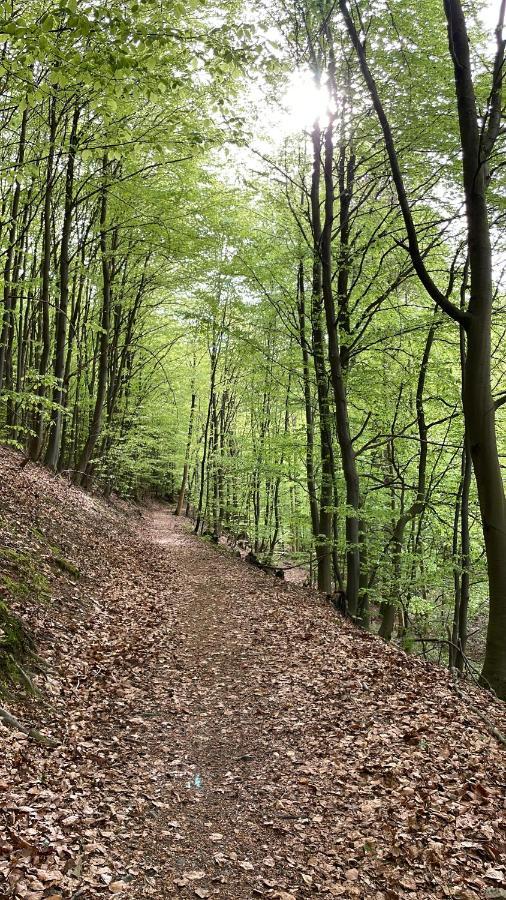 Ferienwohnung Memory Bad Harzburg Kültér fotó